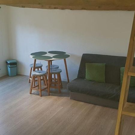 Hyper-Centre 2 Lits Climatiseur Apartment Castres  Luaran gambar